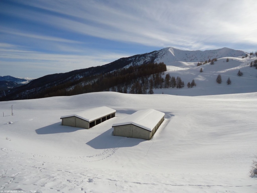 92412-monesi-1-resizeddsc01100.jpg