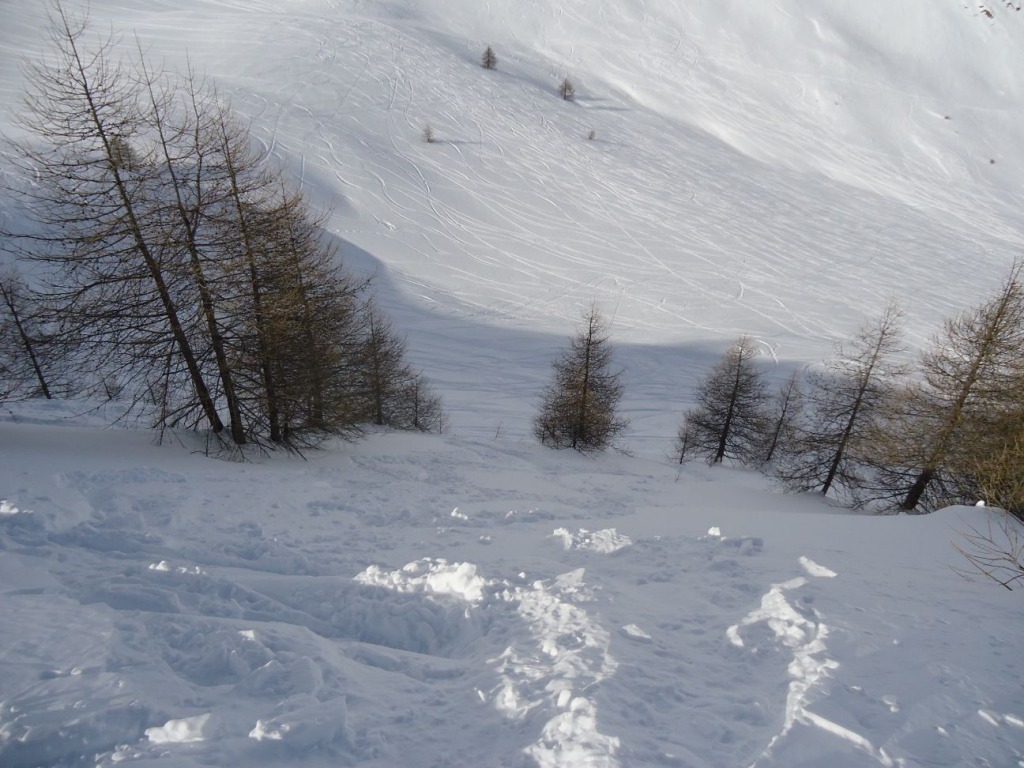 92428-monesi-2-resizeddsc01116.jpg