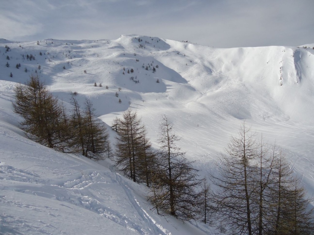 92429-monesi-2-resizeddsc01117.jpg