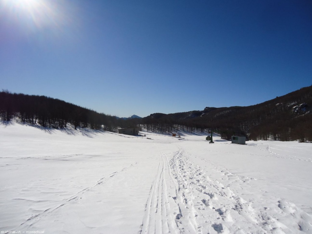 93169-resizeddsc01164.jpg