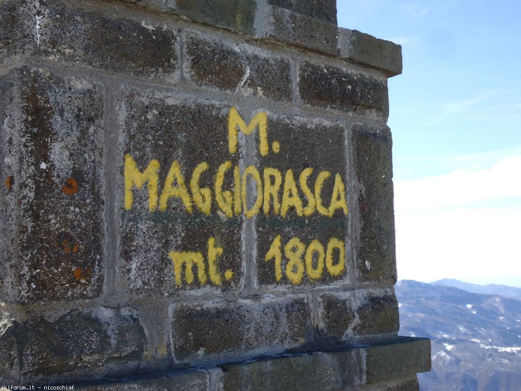 93175-resizeddsc01178.jpg