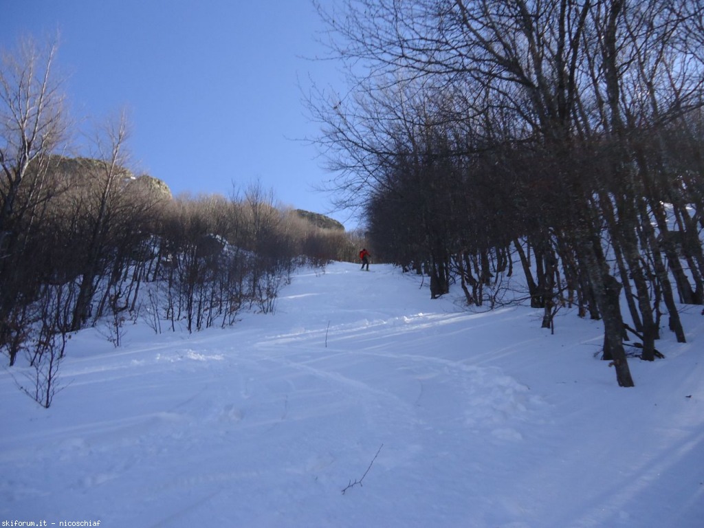 93189-resizeddsc01189.jpg
