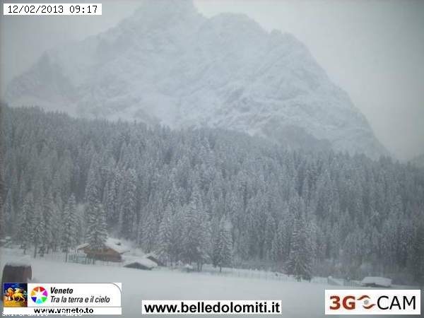 93631-neve-12-febbraio-2013-sappada.jpg