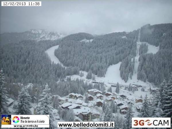 93655-zoldo3.jpg