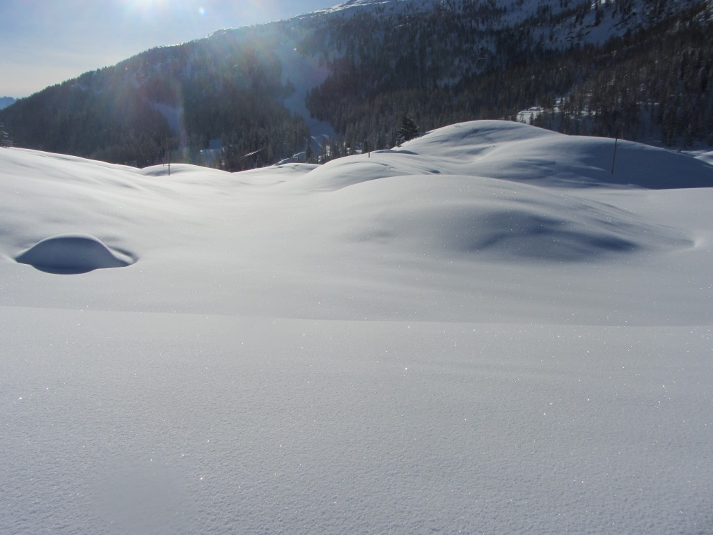 93790-img2574.jpg