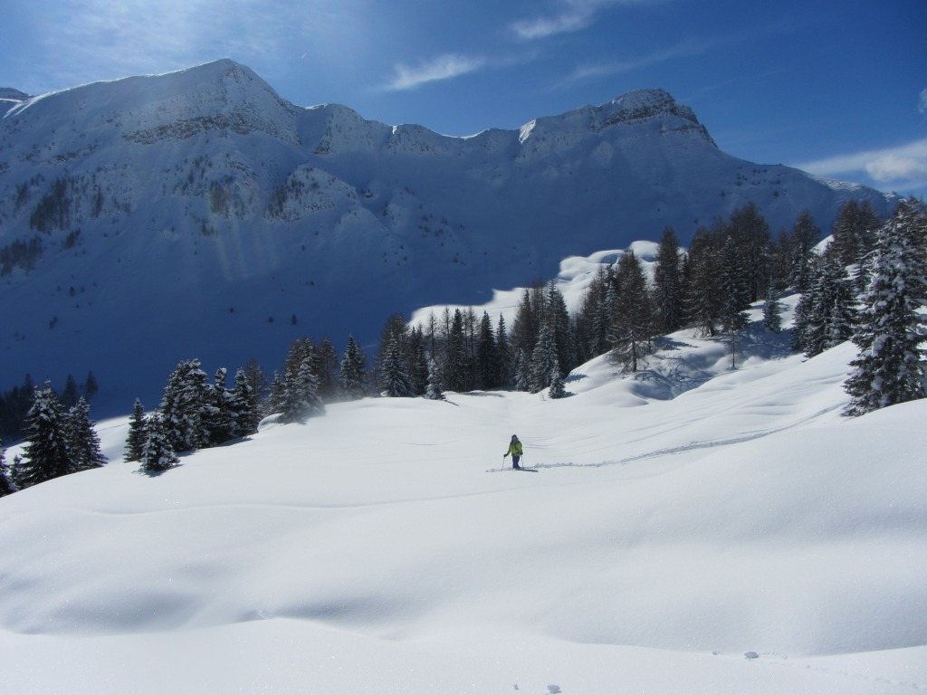 93823-img2646.jpg