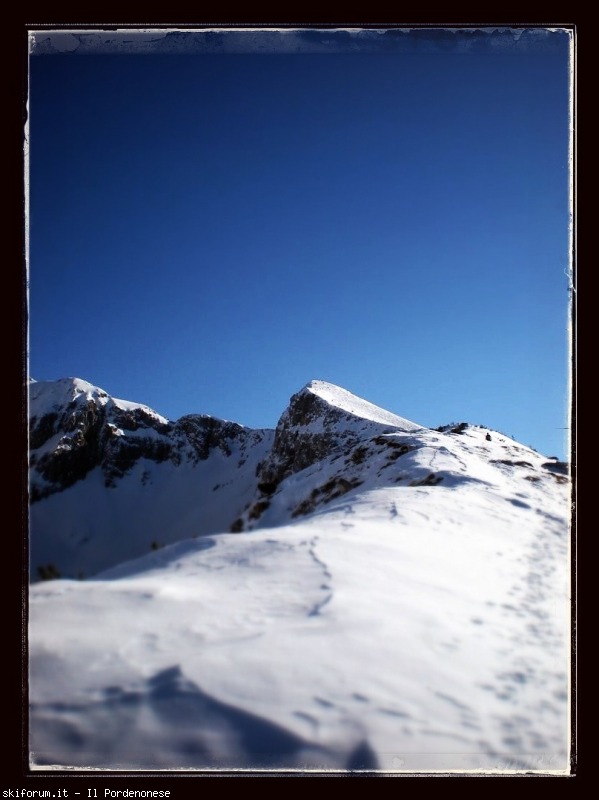 93924-coma-vacche-image.jpg