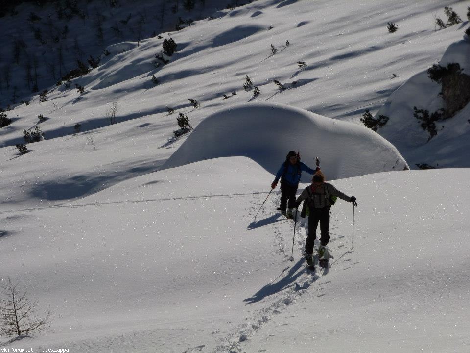 94332-croda-da-campo-cdc03.jpg
