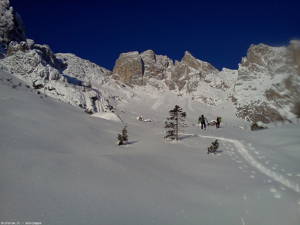 94333-croda-da-campo-cdc04.jpg