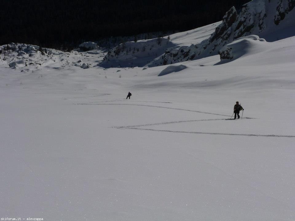 94336-croda-da-campo-cdc07.jpg
