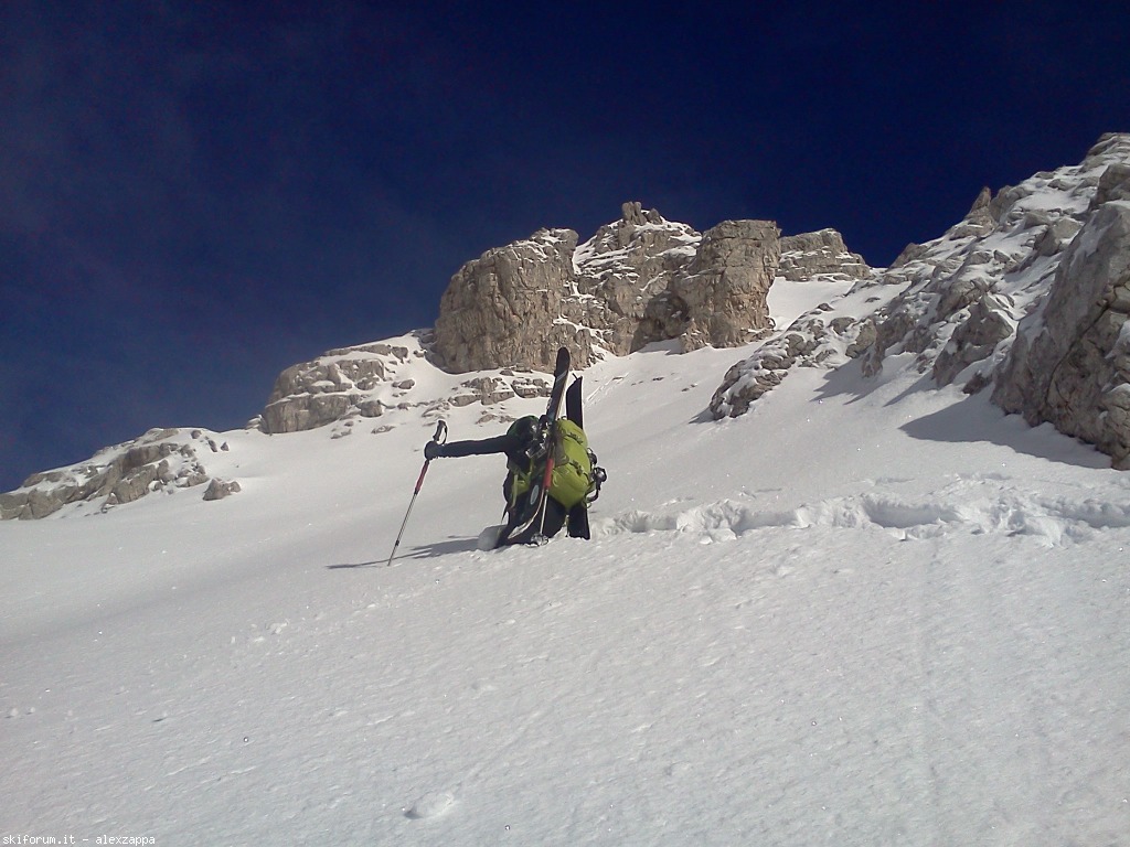 94343-croda-da-campo-cdc15.jpg
