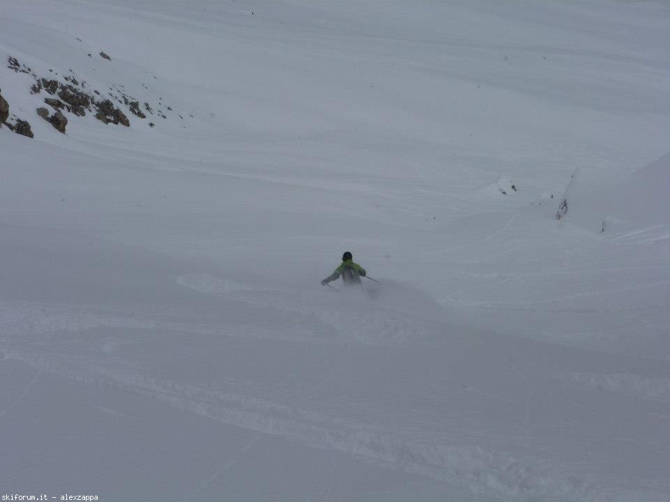 94348-croda-da-campo-cdc20.jpg