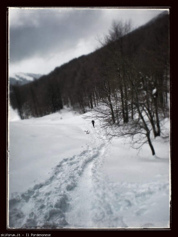 94419-cornier-image.jpg