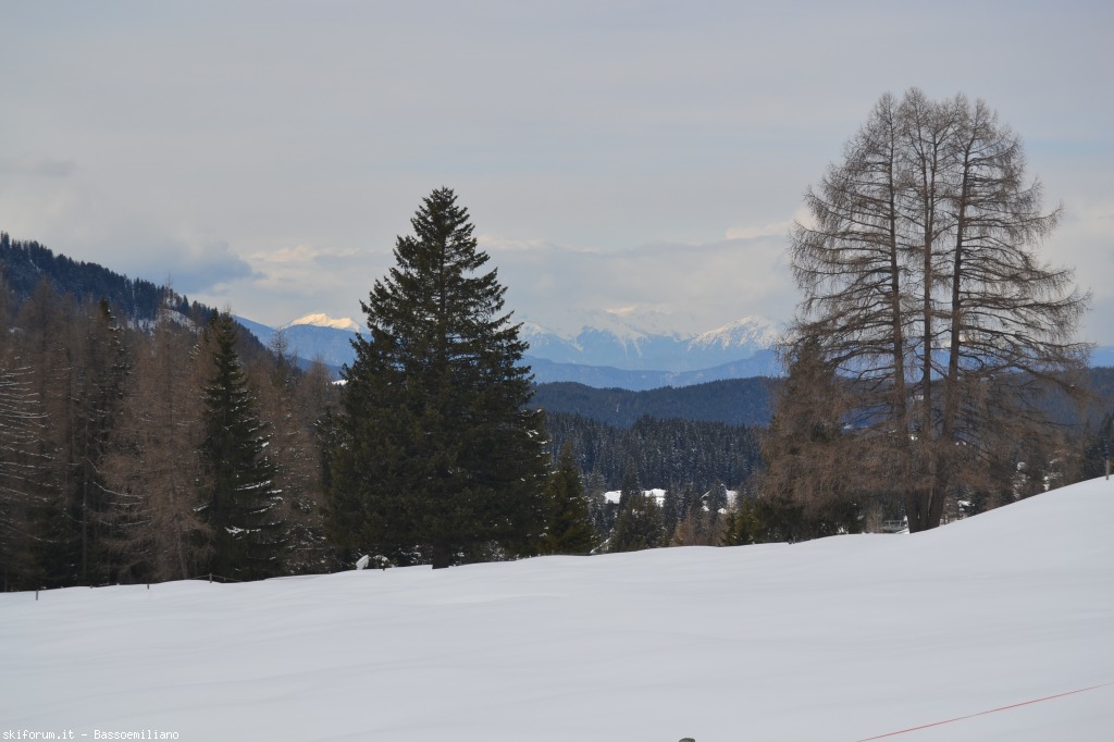 94573-carezza-ski-dolomiti-2013-007.jpg
