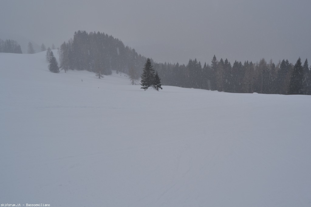 94588-carezza-ski-dolomiti-2013-078.jpg