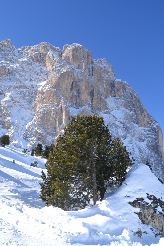 94850-sella-ronda-dolomiti-2013-116.jpg