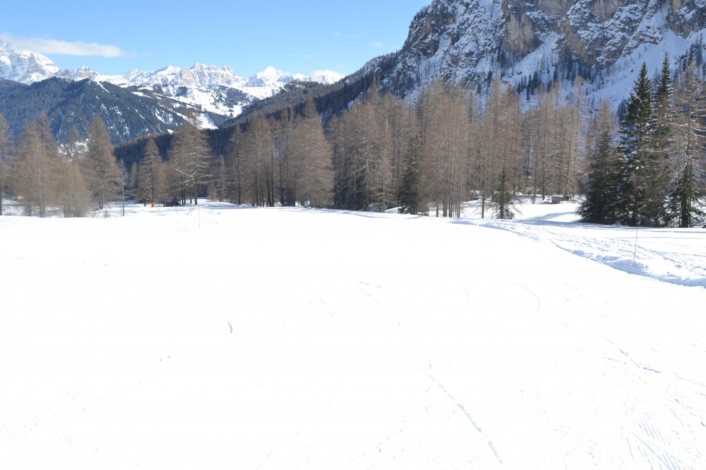 94854-sella-ronda-dolomiti-2013-139.jpg