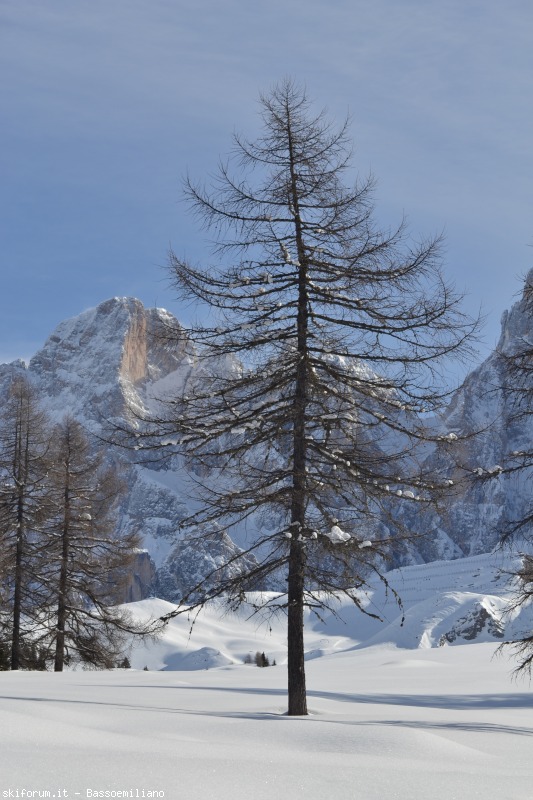 94872-sella-ronda-dolomiti-2013-298.jpg