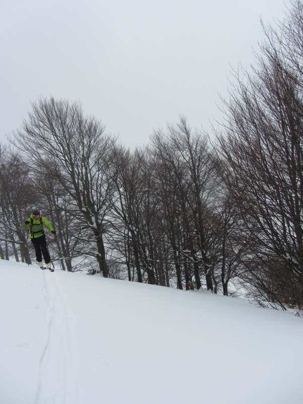 95856-img2672.jpg