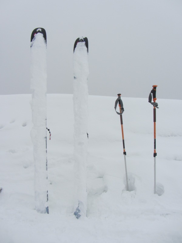 95862-img2678.jpg