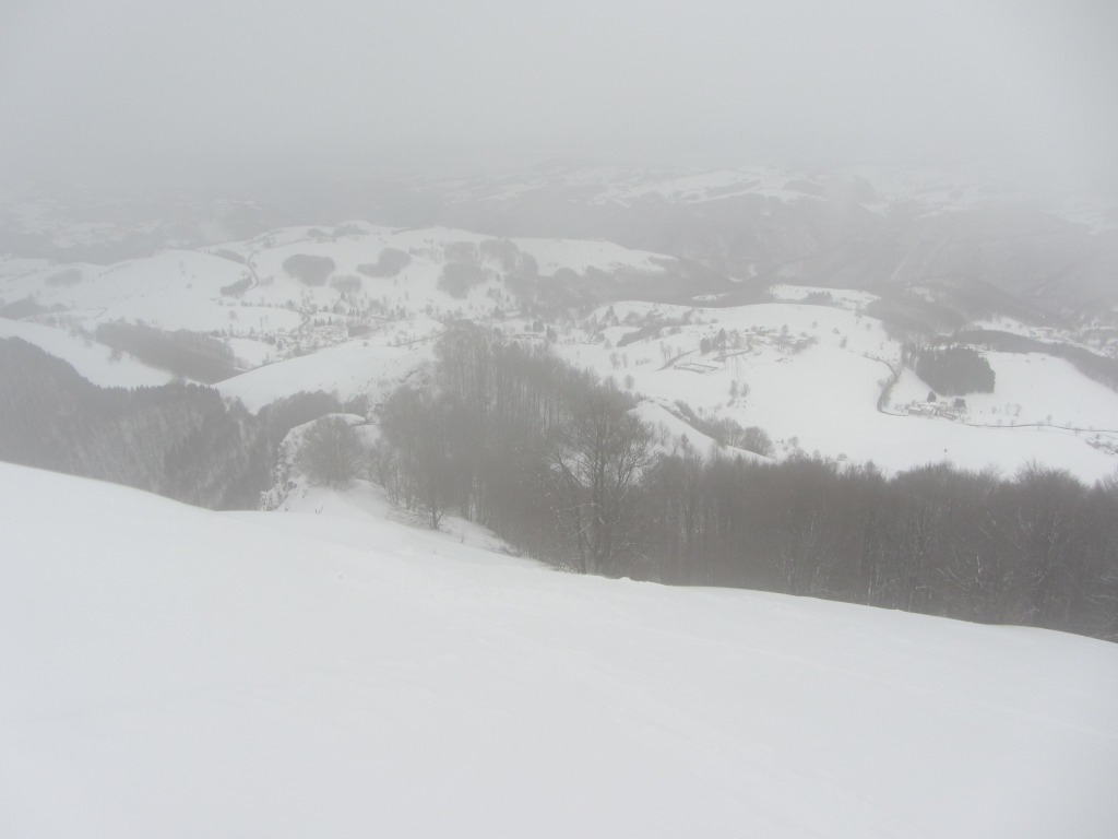 95864-img2687.jpg