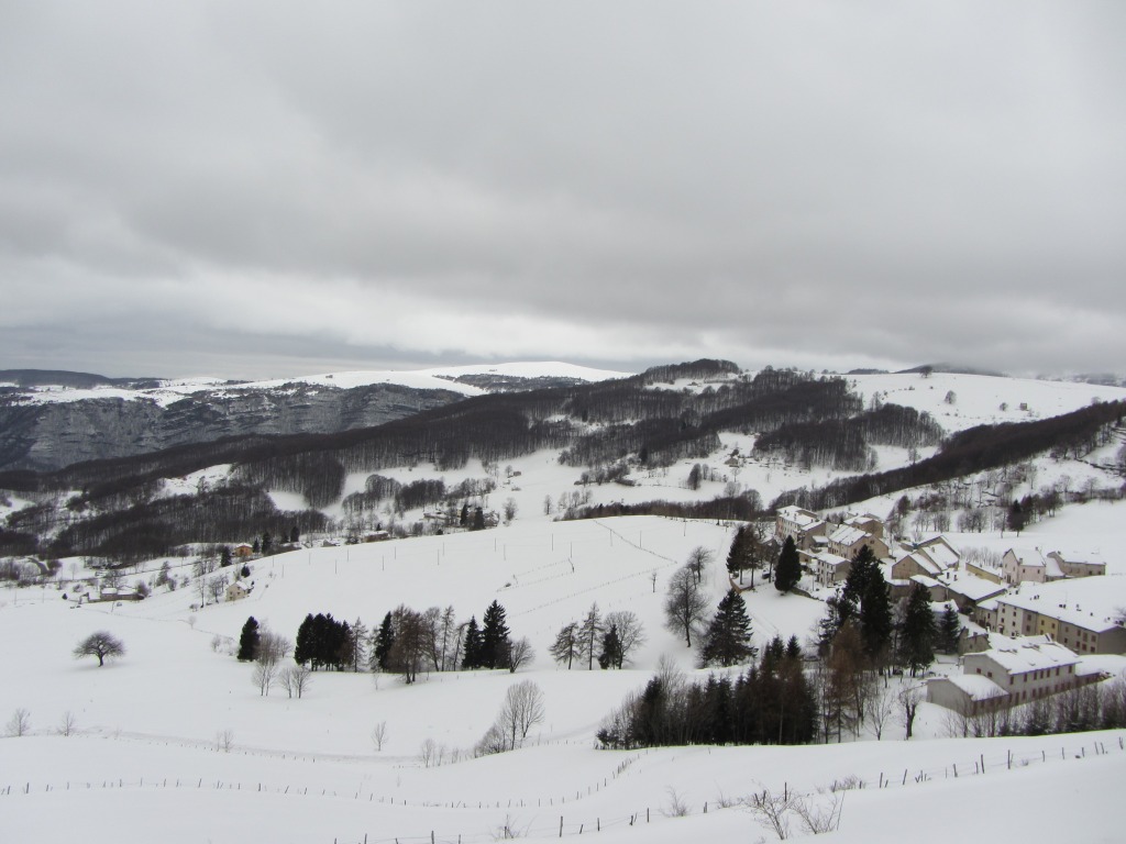 95869-img2697.jpg
