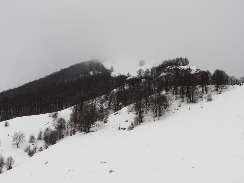 95870-img2698.jpg