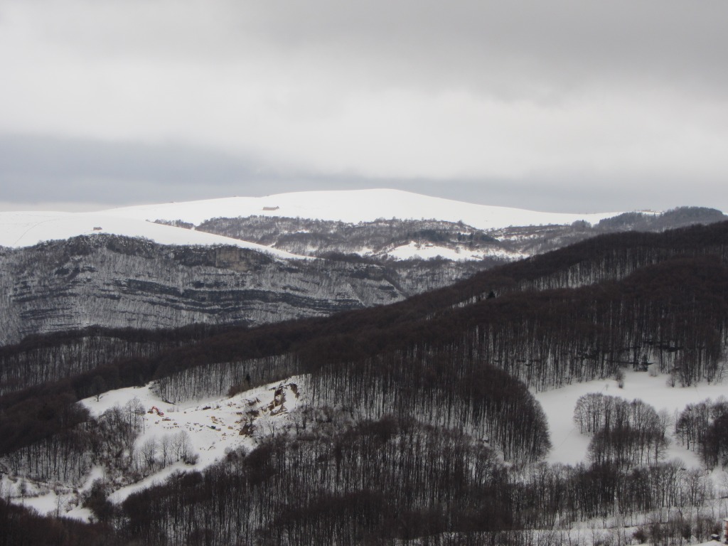95871-img2699.jpg