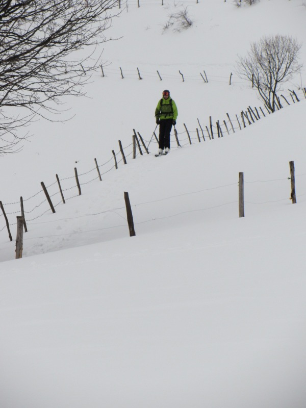 95872-img2701.jpg