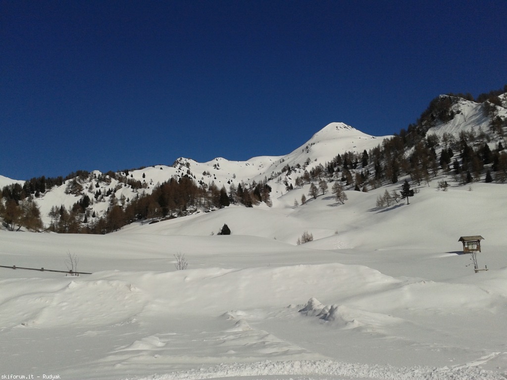 95926-frerone-2013-03-01-12.00.42.jpg