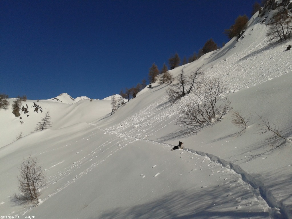 95927-frerone-2013-03-01-12.25.44.jpg