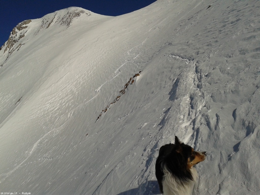 95932-frerone-2013-03-01-14.16.04.jpg
