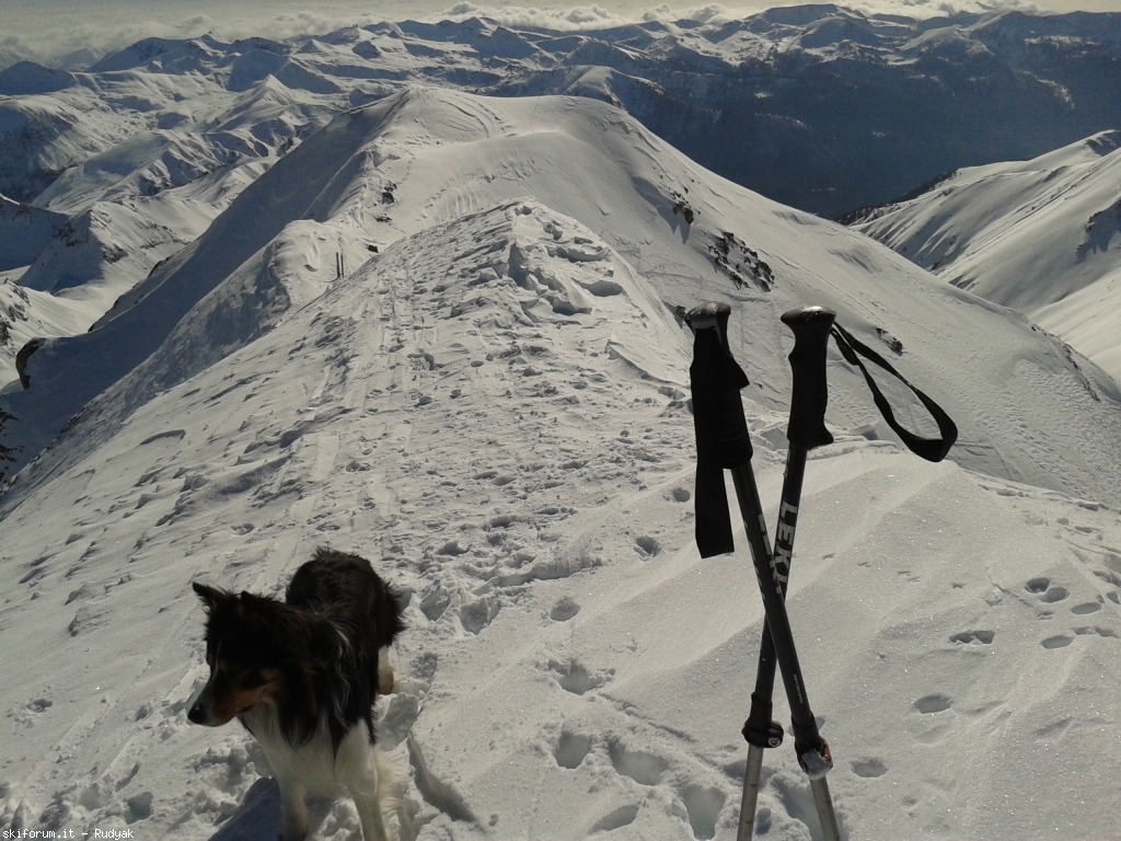 95933-frerone-2013-03-01-14.45.39.jpg