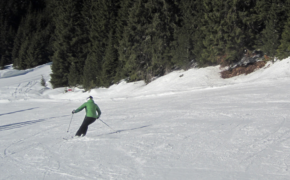 96131-mazzingata-alpe-cermis-2-marzo-2013-sandy-prafiori.jpg