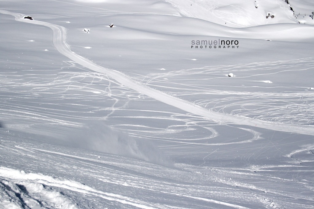 96832-fassani-c.-un-week-end-da-leoni-20130302041web.jpg