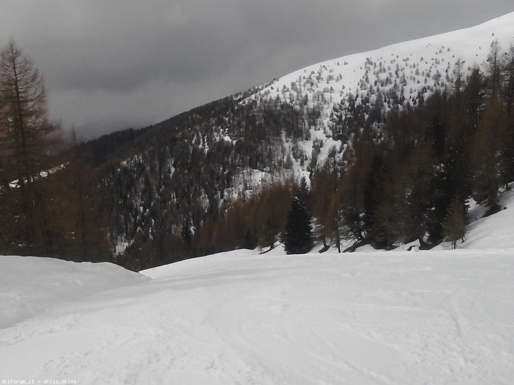 97315-maranza--img201303121312020.jpg