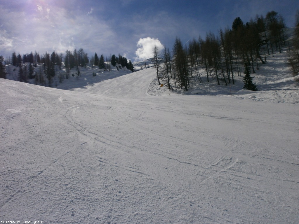 97387-primavera-falcade-san-pellegrino-p3110175.jpg
