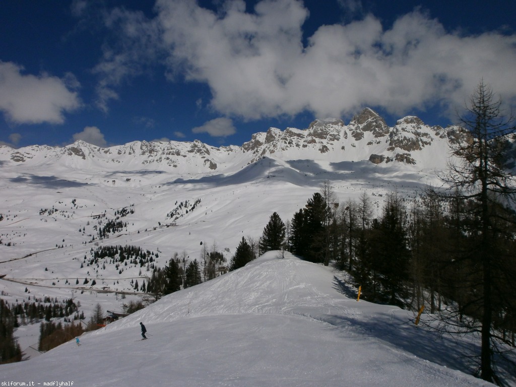97388-primavera-falcade-san-pellegrino-p3110177.jpg
