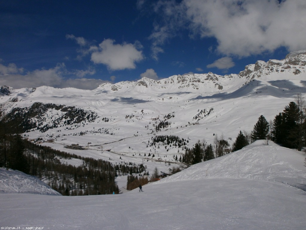 97389-primavera-falcade-san-pellegrino-p3110178.jpg