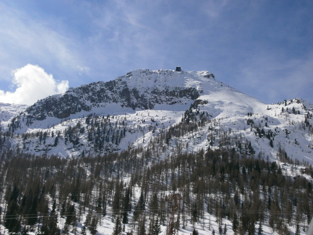 97390-primavera-falcade-san-pellegrino-p3110179.jpg
