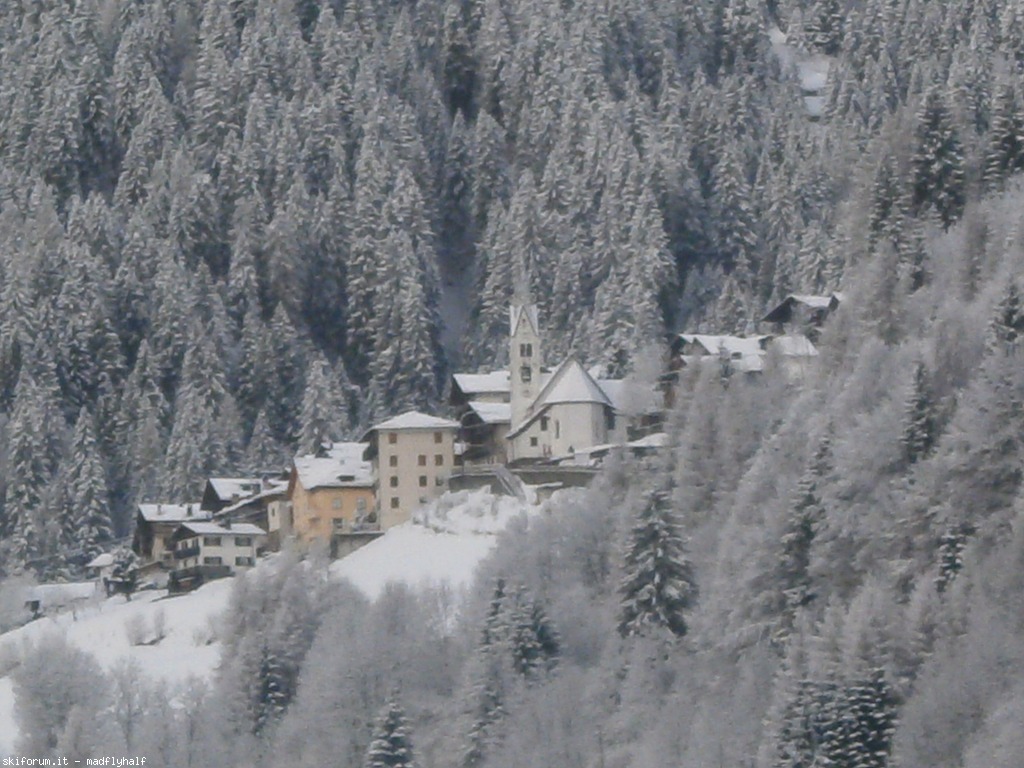 97433-primavera-falcade-san-pellegrino-2-p3140331.jpg