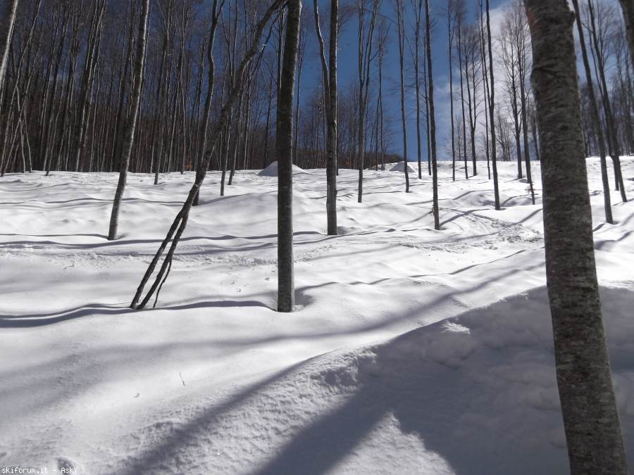 98263-cerreto-laghi-21-mar-2013-44.jpg