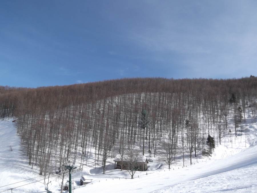 98274-cerreto-laghi-21-mar-2013-74.jpg