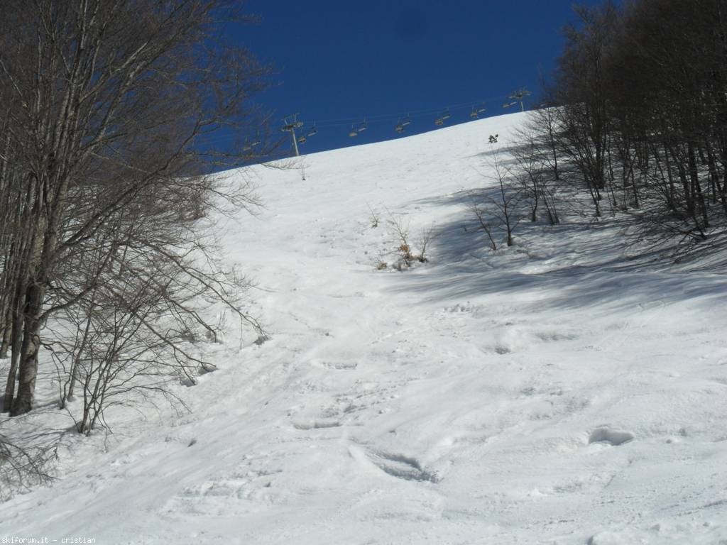98699-campocatino-fr-sam33201024x768.jpg