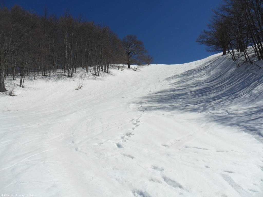 98702-campocatino-fr-sam33261024x768.jpg