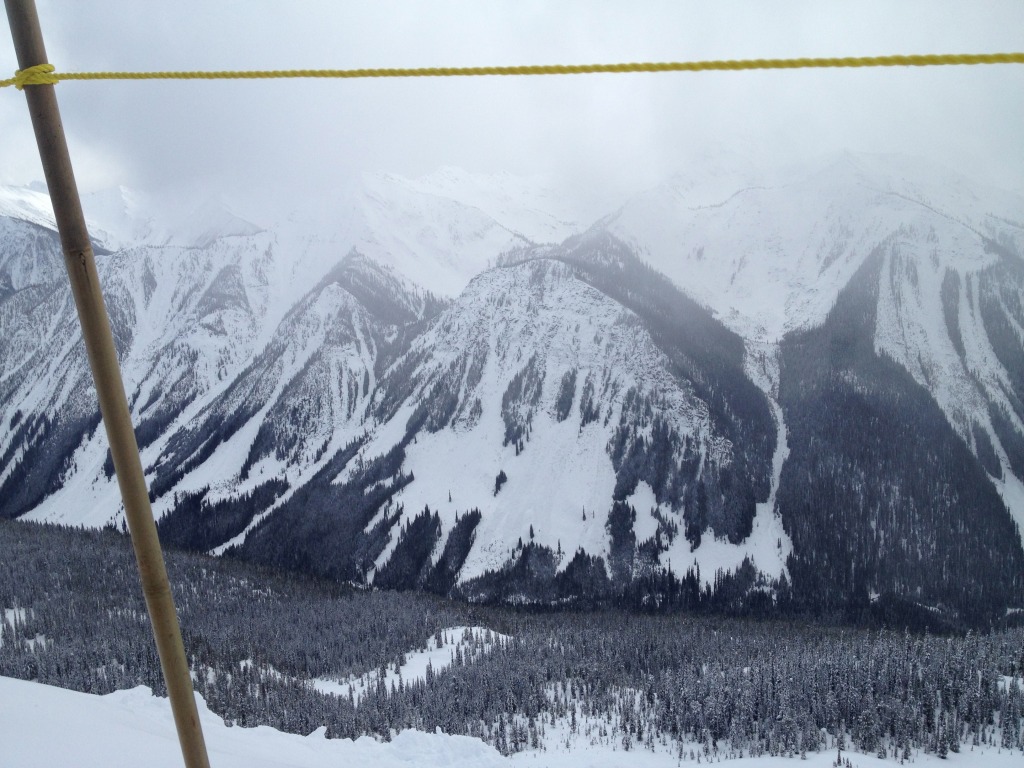 98833-img3387.jpg