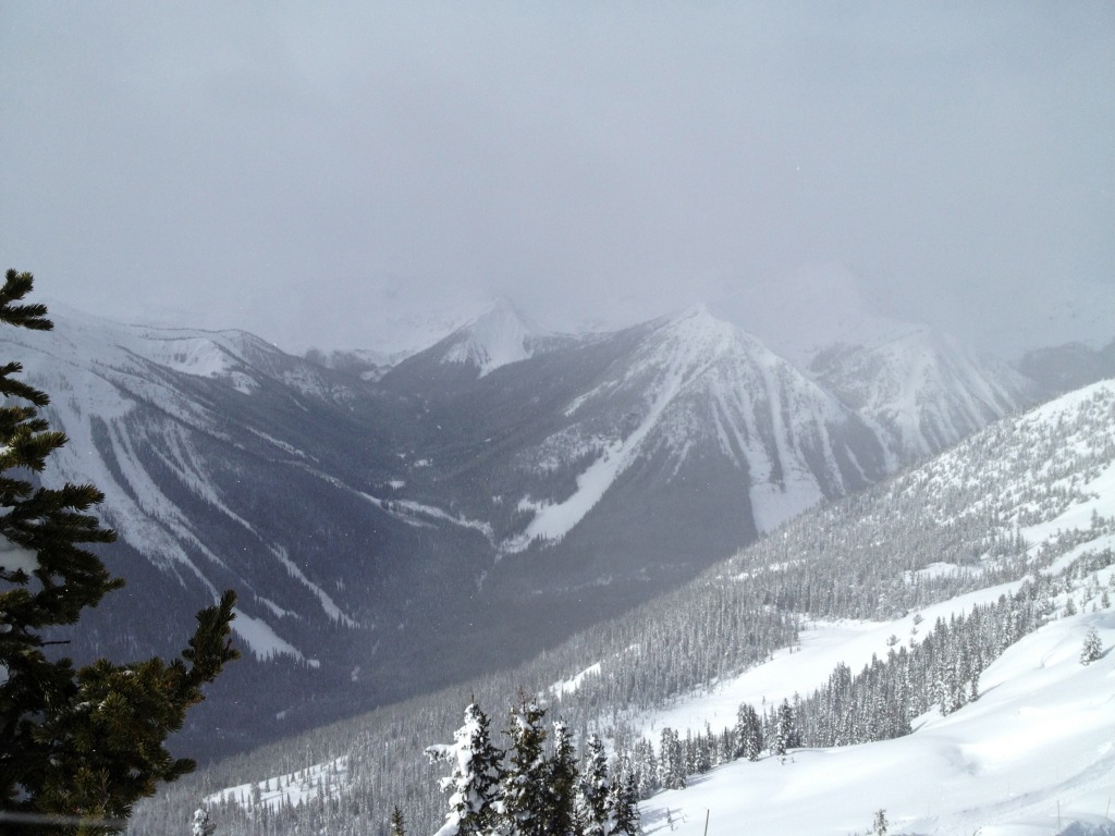 98891-img3423.jpg