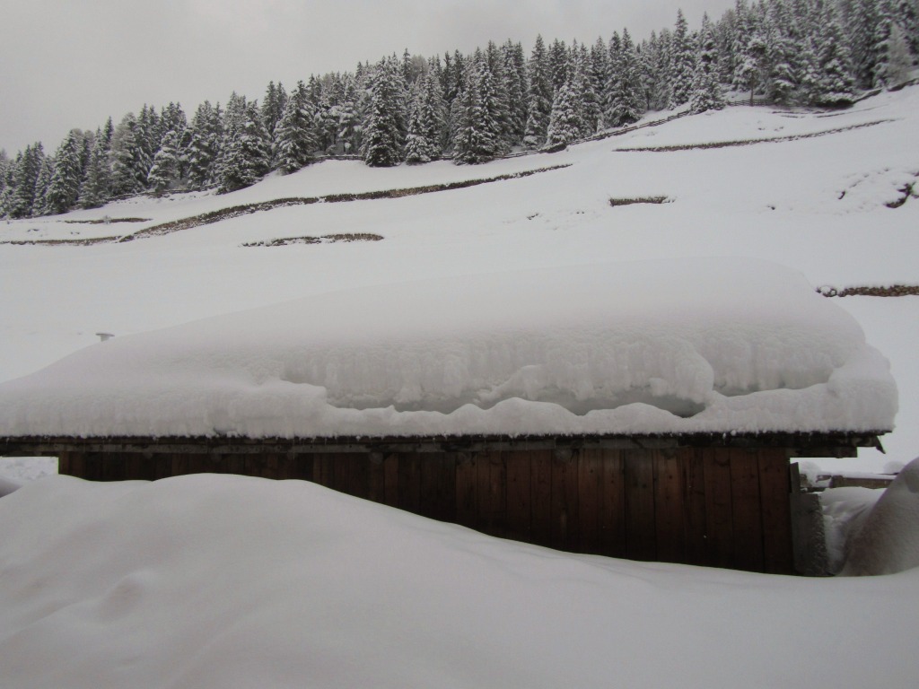 99144-nevicata-31-marzo-2013-selva-vg-nevicata-31-marzo-2013-007.jpg