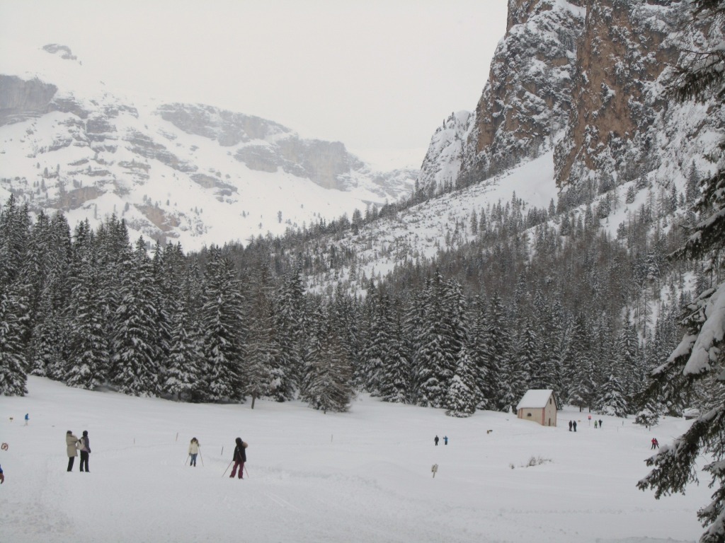 99147-nevicata-31-marzo-2013-selva-vg-nevicata-31-marzo-2013-011.jpg