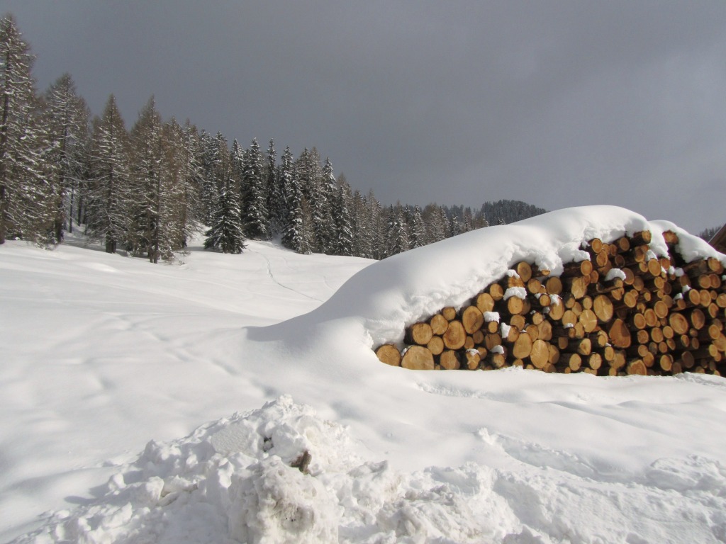 99148-nevicata-31-marzo-2013-selva-vg-nevicata-31-marzo-2013-013.jpg